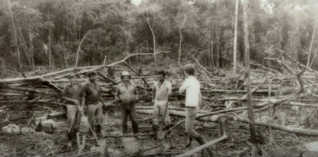 Homens derrubam árvores na mata do Rio da Luz durante período de colonização em Jaraguá do Sul
