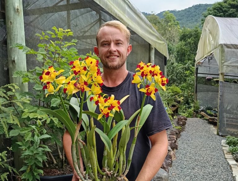 Produtor rural segura vaso de orquídeas amarelas e vermelhas no Orquidário Lindemann, em Jaraguá do Sul